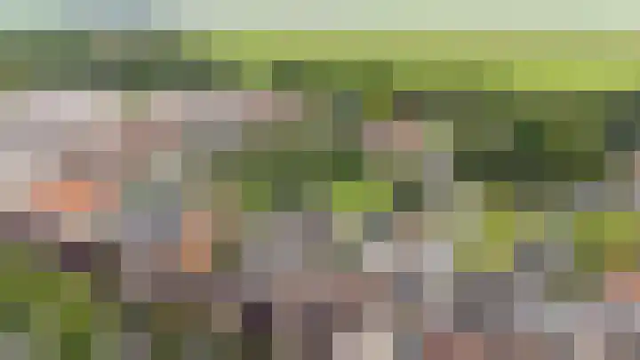 Marktkade 77 Musselkanaal thumbnail 5