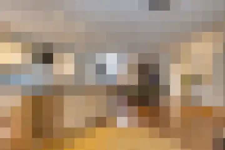 Marktkade 77 Musselkanaal thumbnail 9