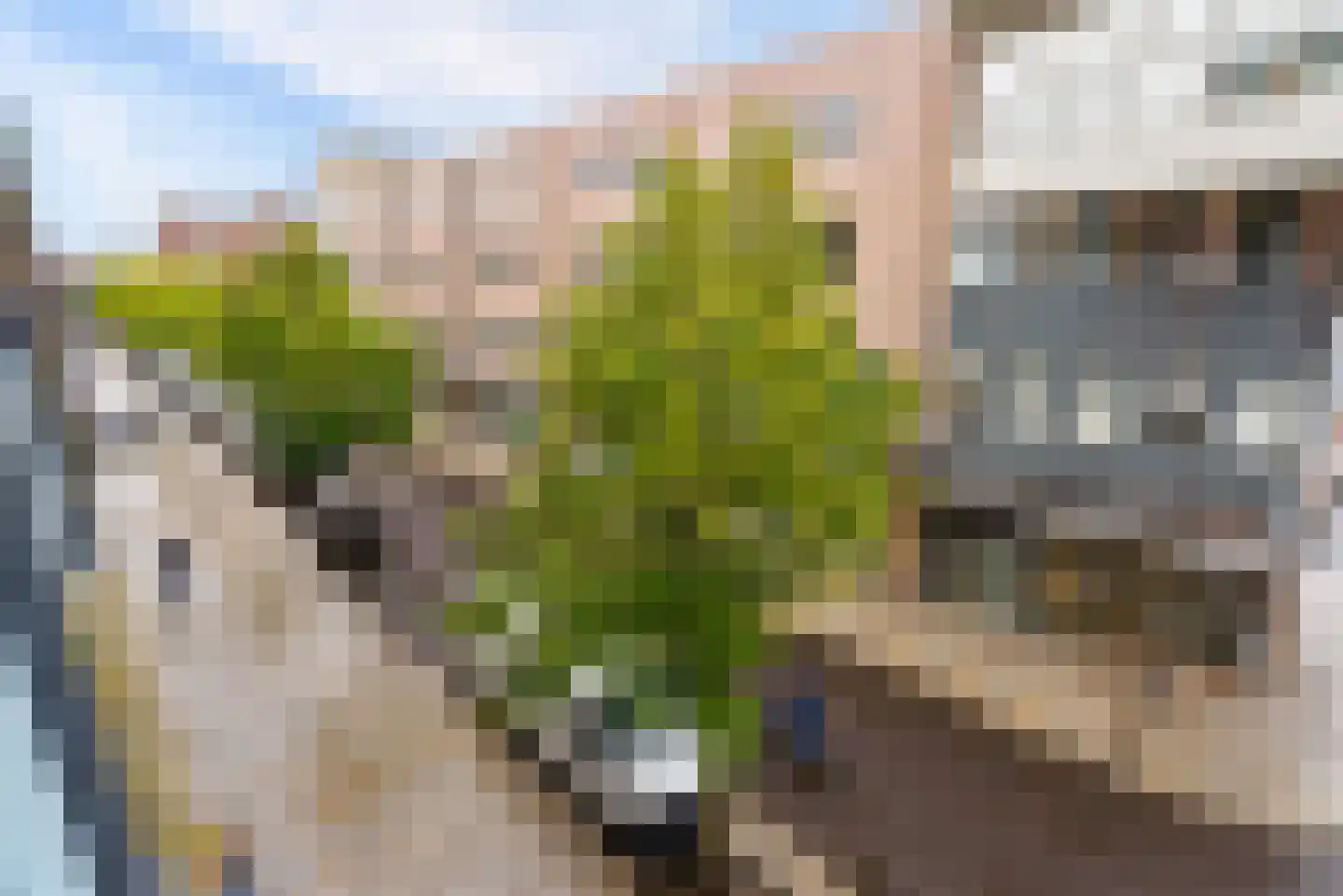 Marktmeesterstraat 25 Almere thumbnail 43