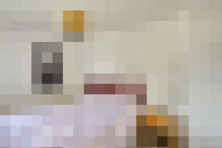Marktpad 7 Nederasselt thumbnail 26