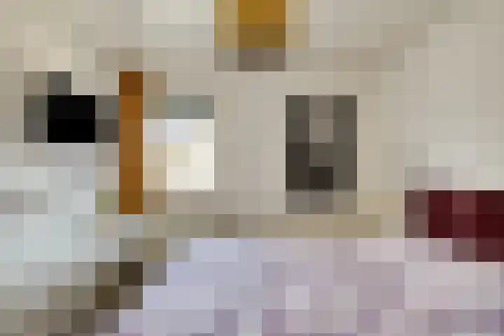 Marktpad 7 Nederasselt thumbnail 27