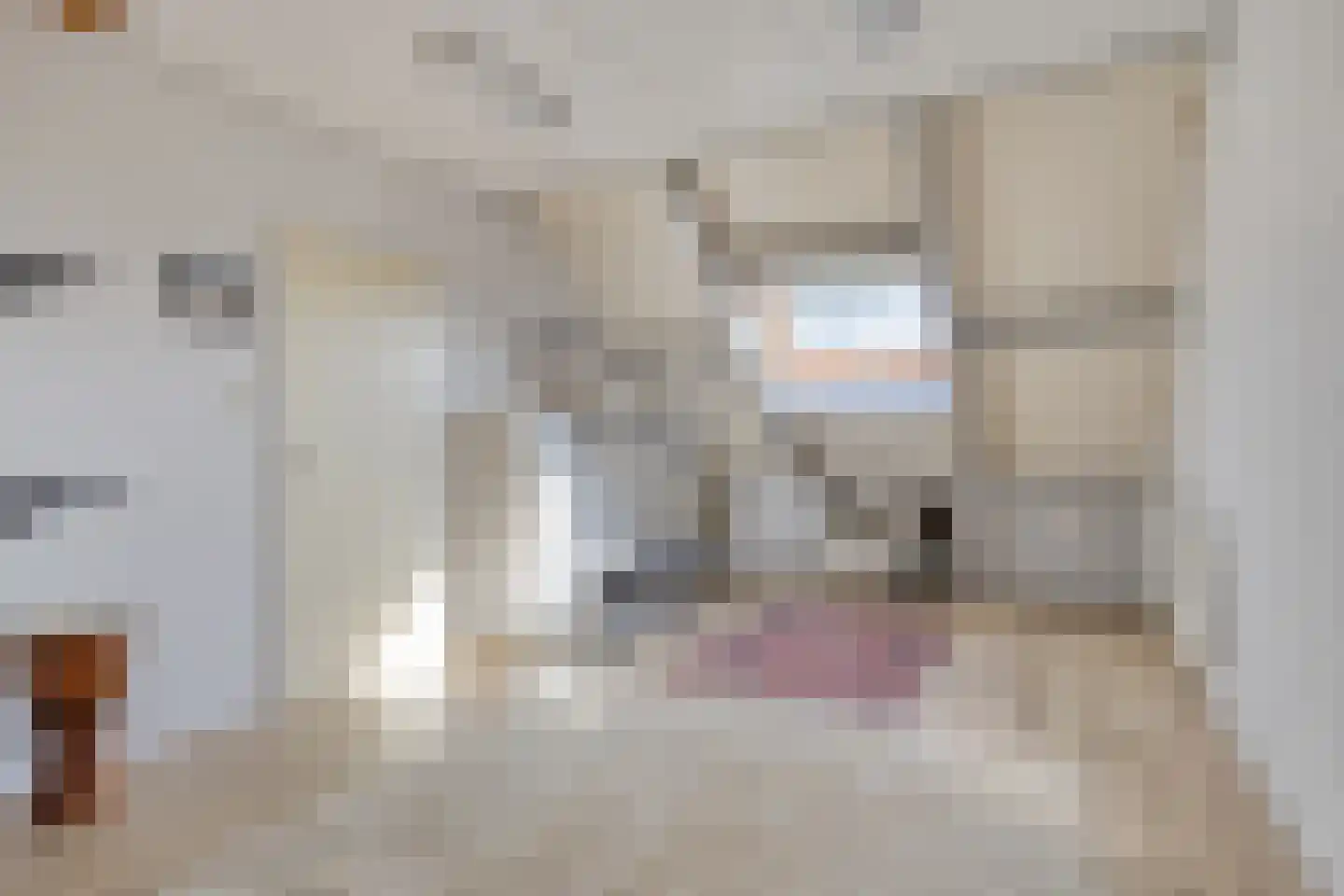 Marktpad 7 Nederasselt thumbnail 37