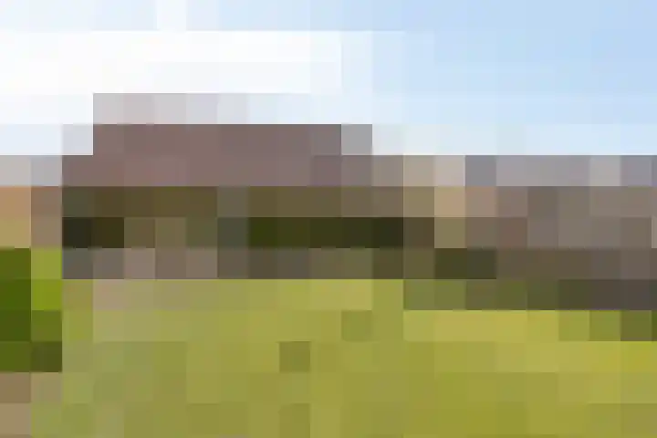Marktpad 7 Nederasselt thumbnail 40