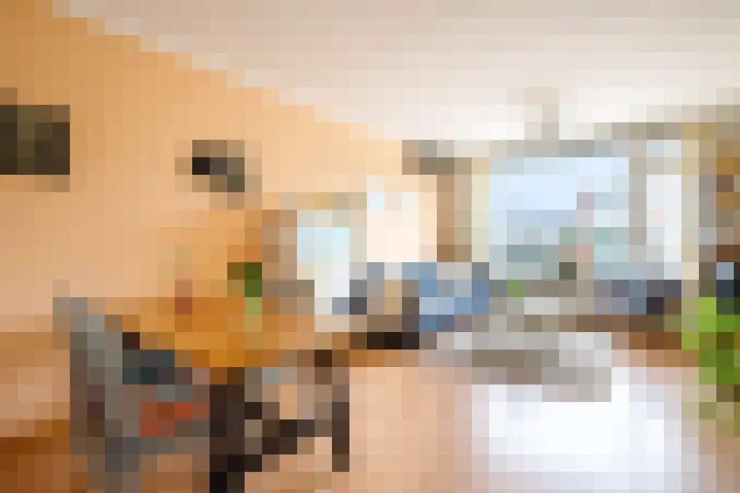 Marktplein 10 Bergambacht thumbnail 14