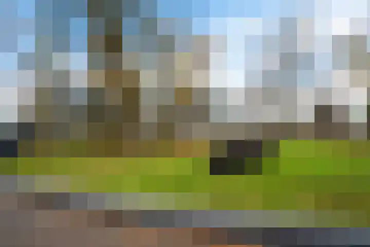 Marktplein 106 Emmen thumbnail 48