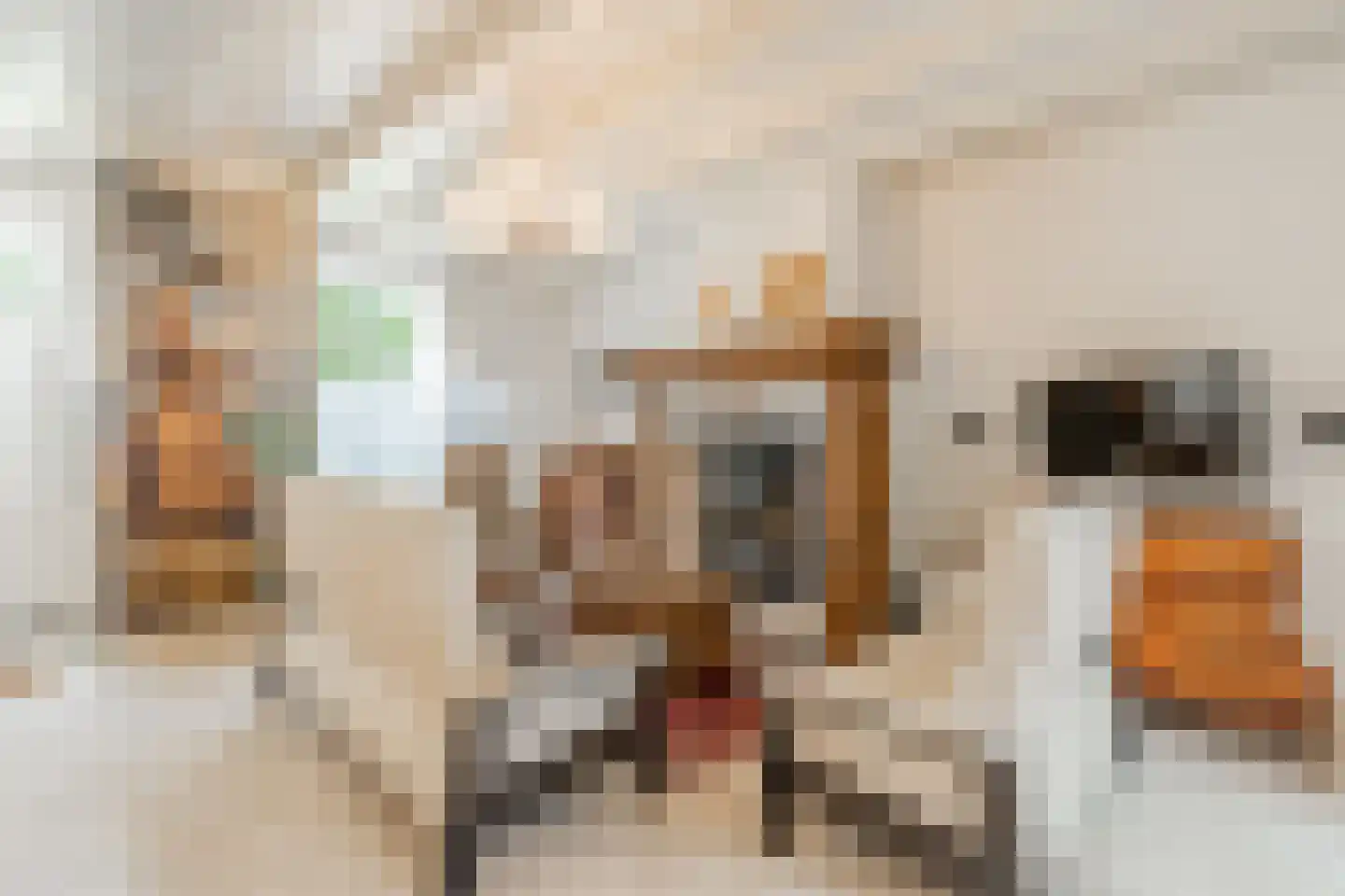 Marktplein 13 Sluis thumbnail 6