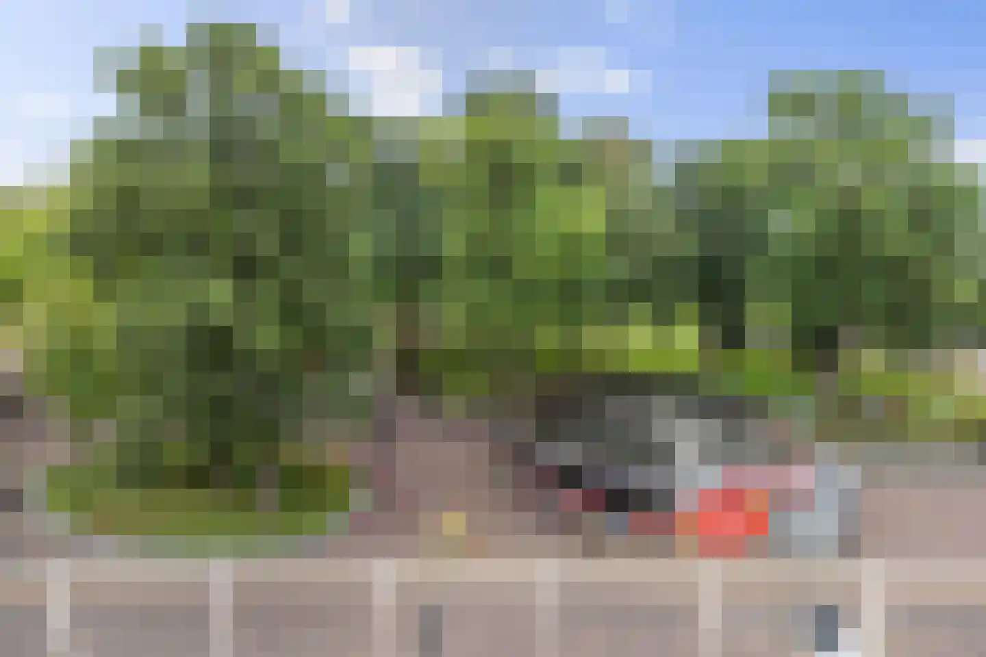 Marktplein 132 Emmen thumbnail 32