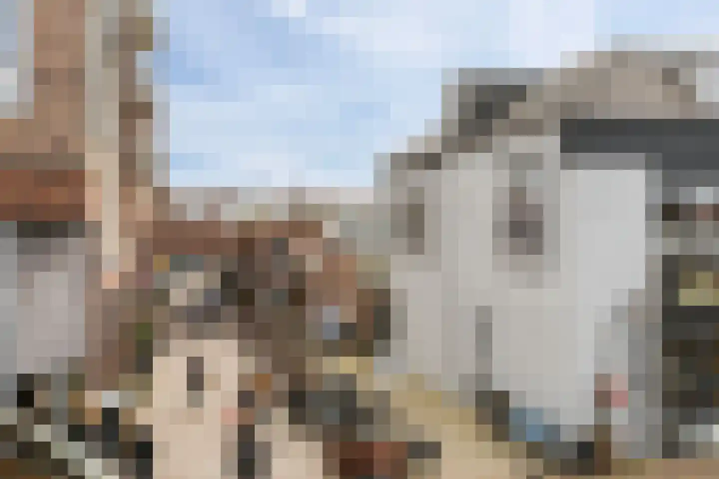 Marktplein 16 's-Gravenzande thumbnail 17