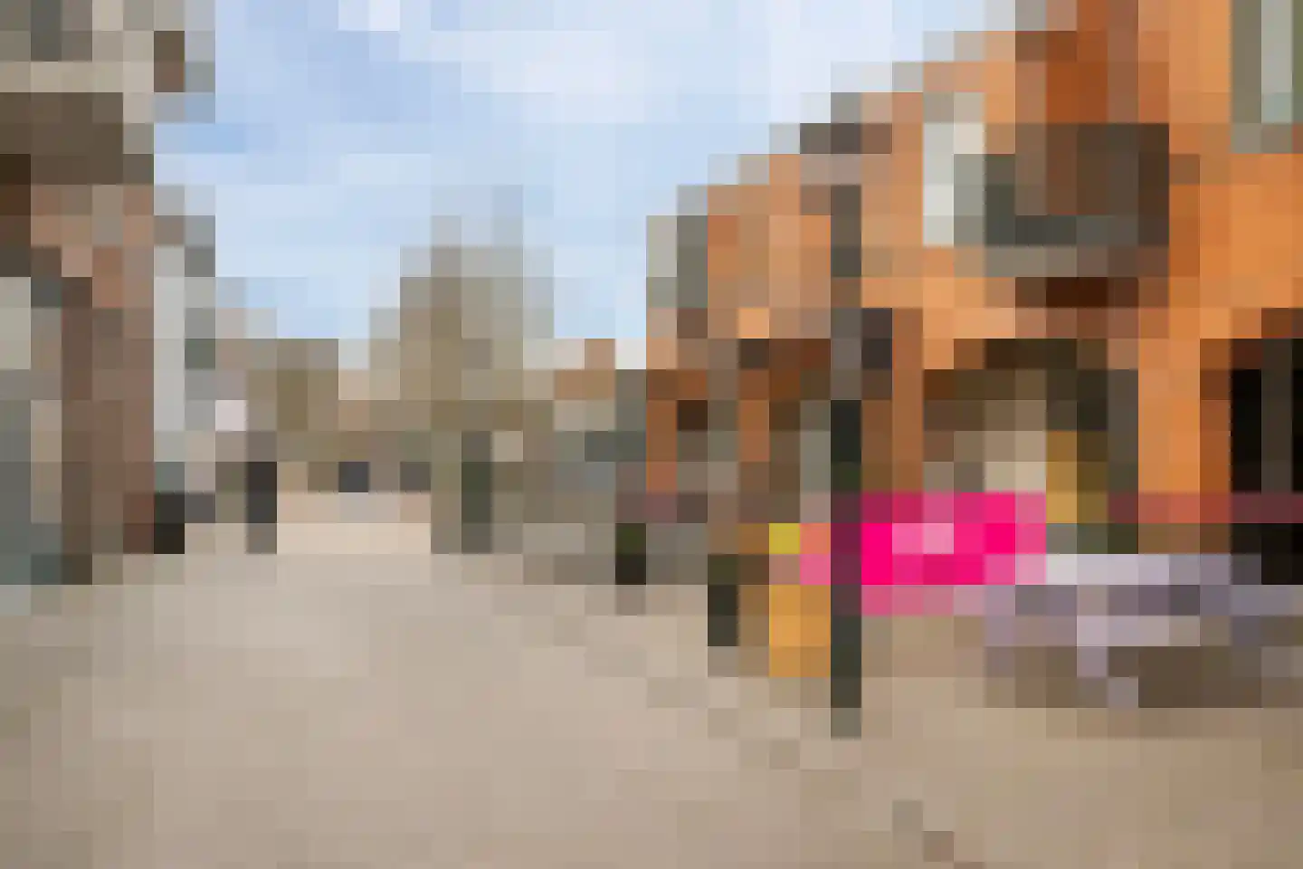 Marktplein 16 's-Gravenzande thumbnail 7