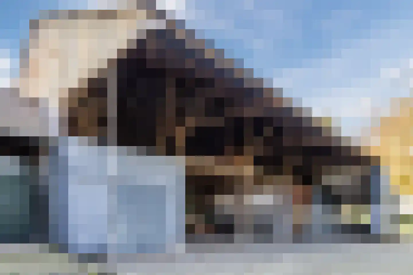 Marktplein 17 Lith thumbnail 63