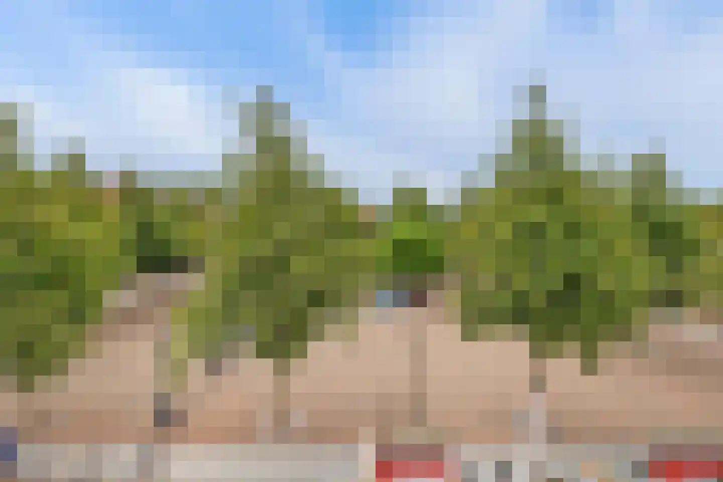 Marktplein 23 's-Gravenzande thumbnail 42