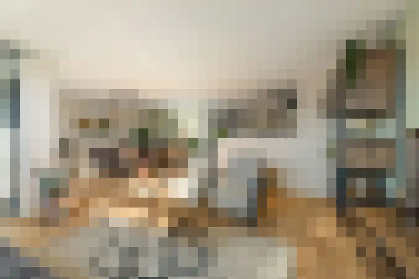 Marktplein 58 Twello thumbnail 12