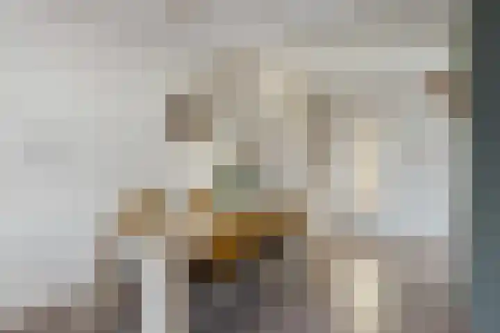 Marktplein 7 Borne thumbnail 10
