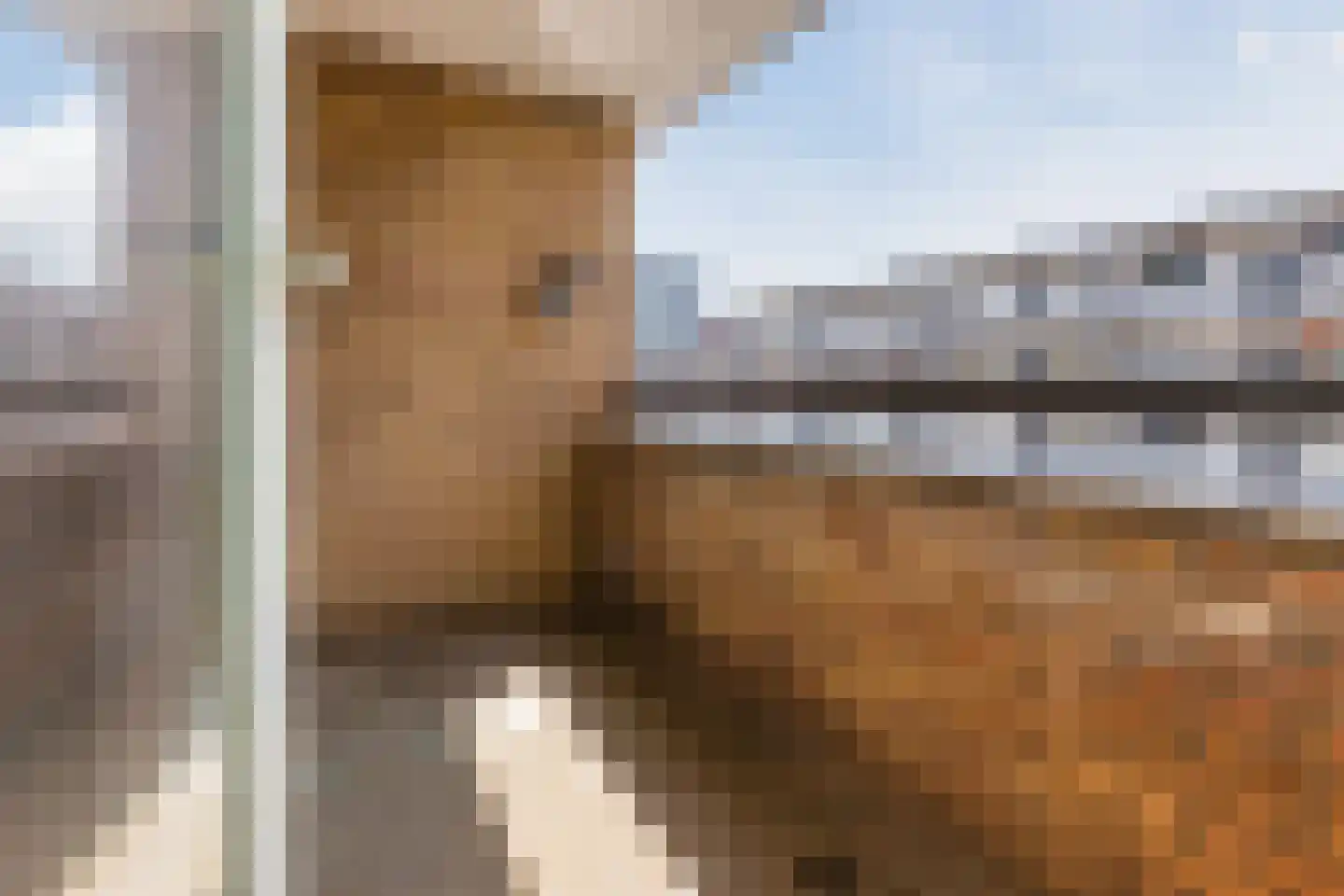 Marktplein 74 Hoofddorp thumbnail 26