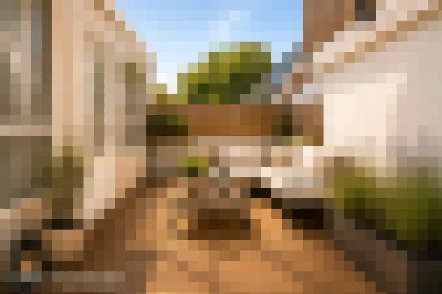 Marktplein 8 Geldermalsen thumbnail 12
