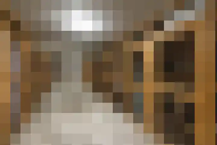 Marktplein 9 Borne thumbnail 22