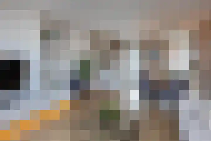 Marktplein 9 Borne thumbnail 8