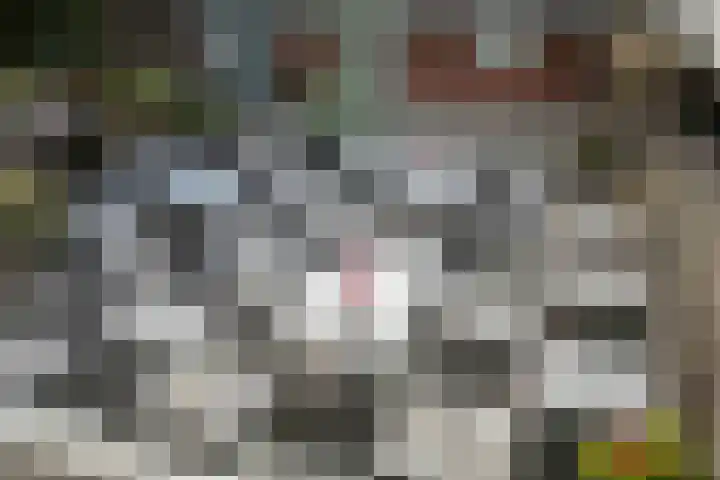 Marktplein 90 Twello thumbnail 34