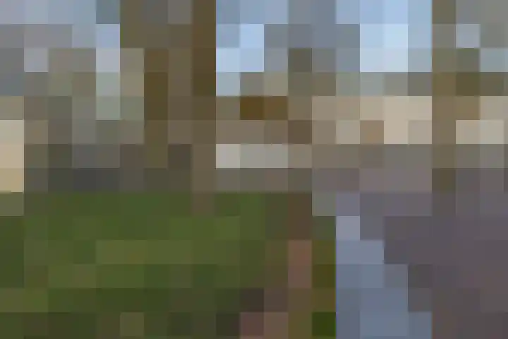 Marktplein 96 Emmen thumbnail 33