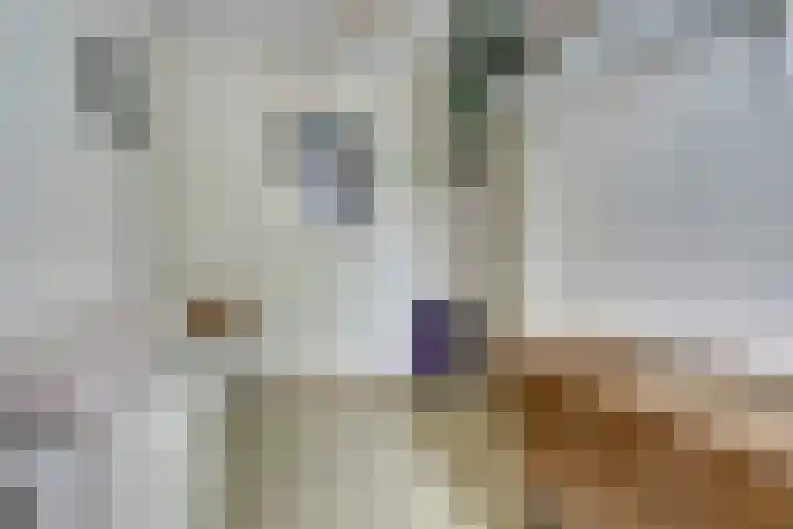 Marktstaete 101 Vlijmen thumbnail 19