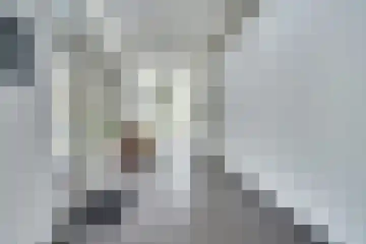 Marktstaete 101 Vlijmen thumbnail 28