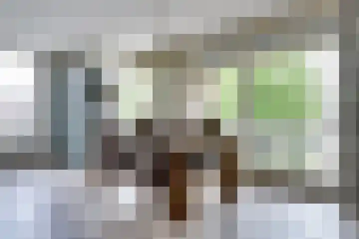 Marktstaete 101 Vlijmen thumbnail 6