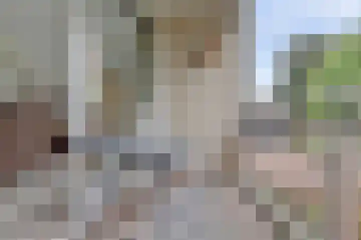 Marktstaete 101 Vlijmen thumbnail 9