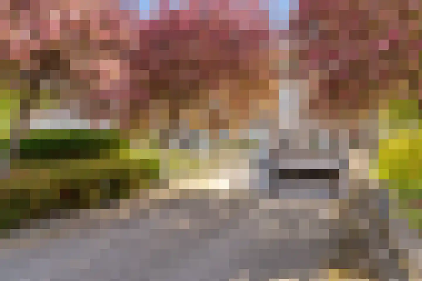 Marktstaete 108 Vlijmen thumbnail 29