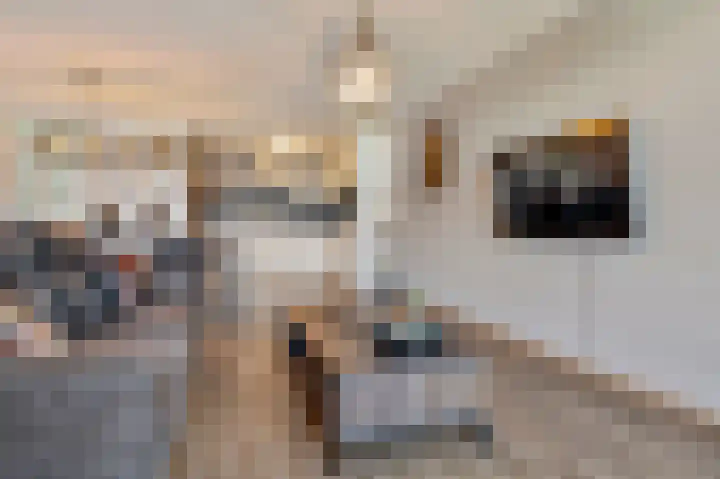 Marktstaete 108 Vlijmen thumbnail 8