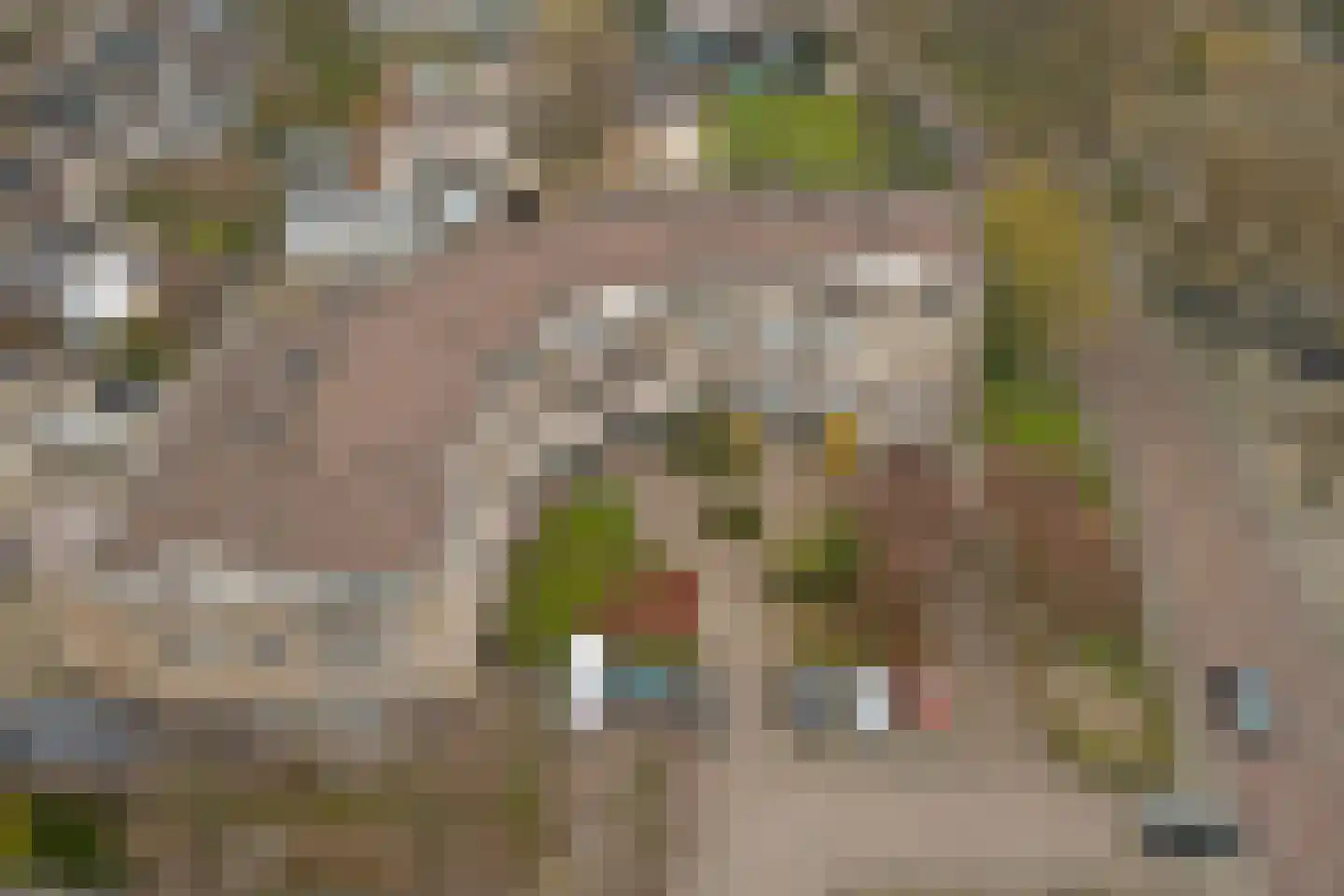 Marktstaete 3 Vlijmen thumbnail 34