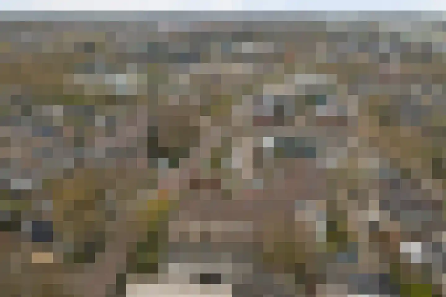 Marktstaete 3 Vlijmen thumbnail 36