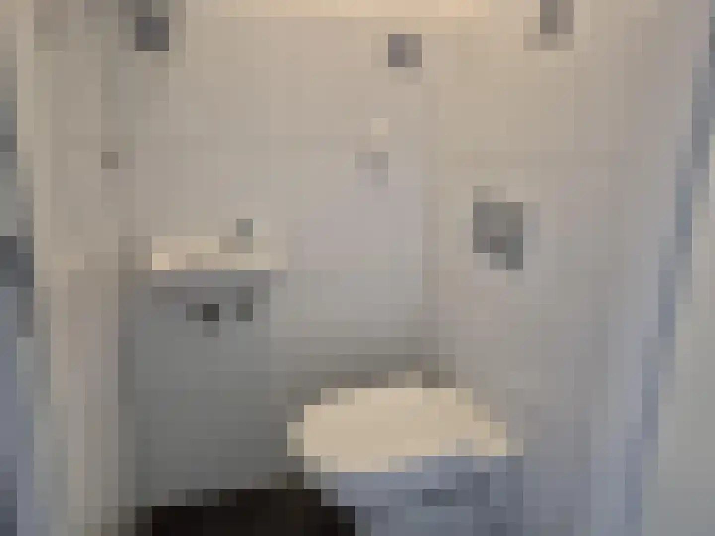 Marktstaete 43 Bladel thumbnail 4
