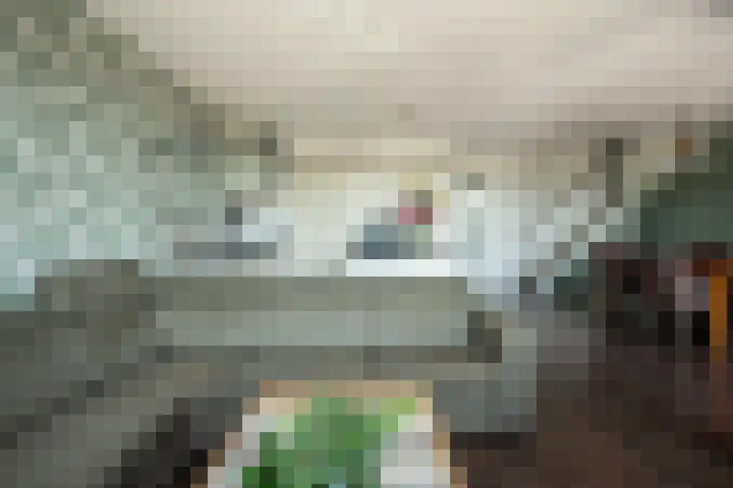 Marktstaete 63 Bladel thumbnail 17