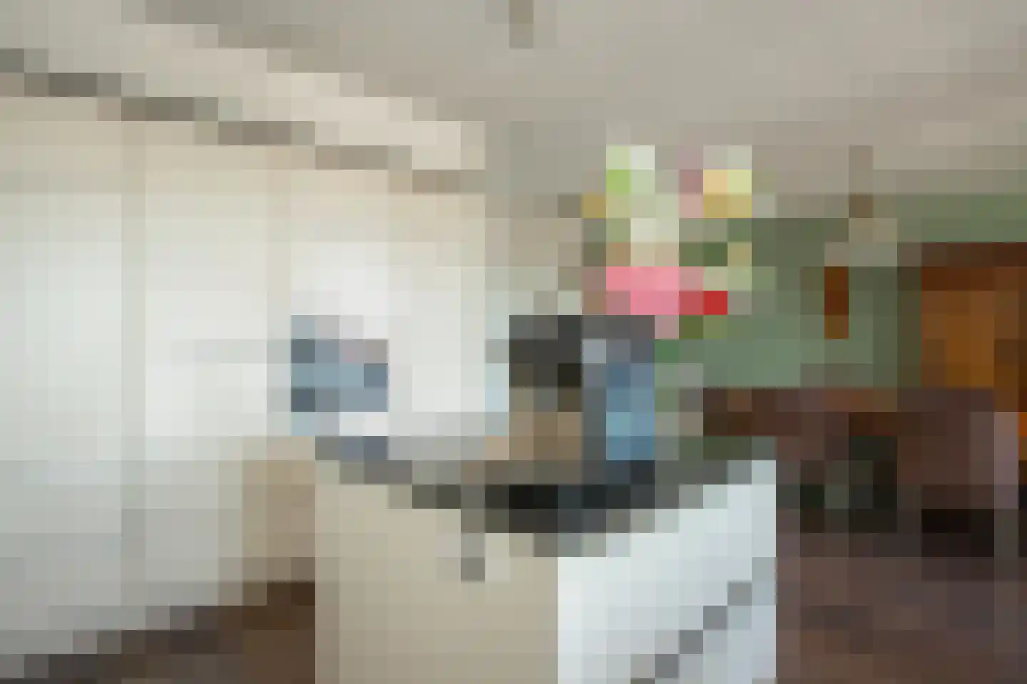 Marktstaete 63 Bladel thumbnail 11