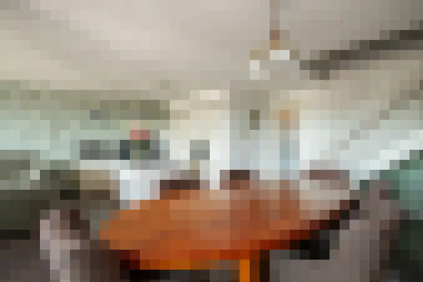 Marktstaete 63 Bladel thumbnail 14