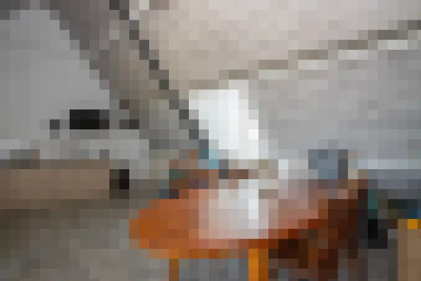 Marktstaete 63 Bladel thumbnail 15