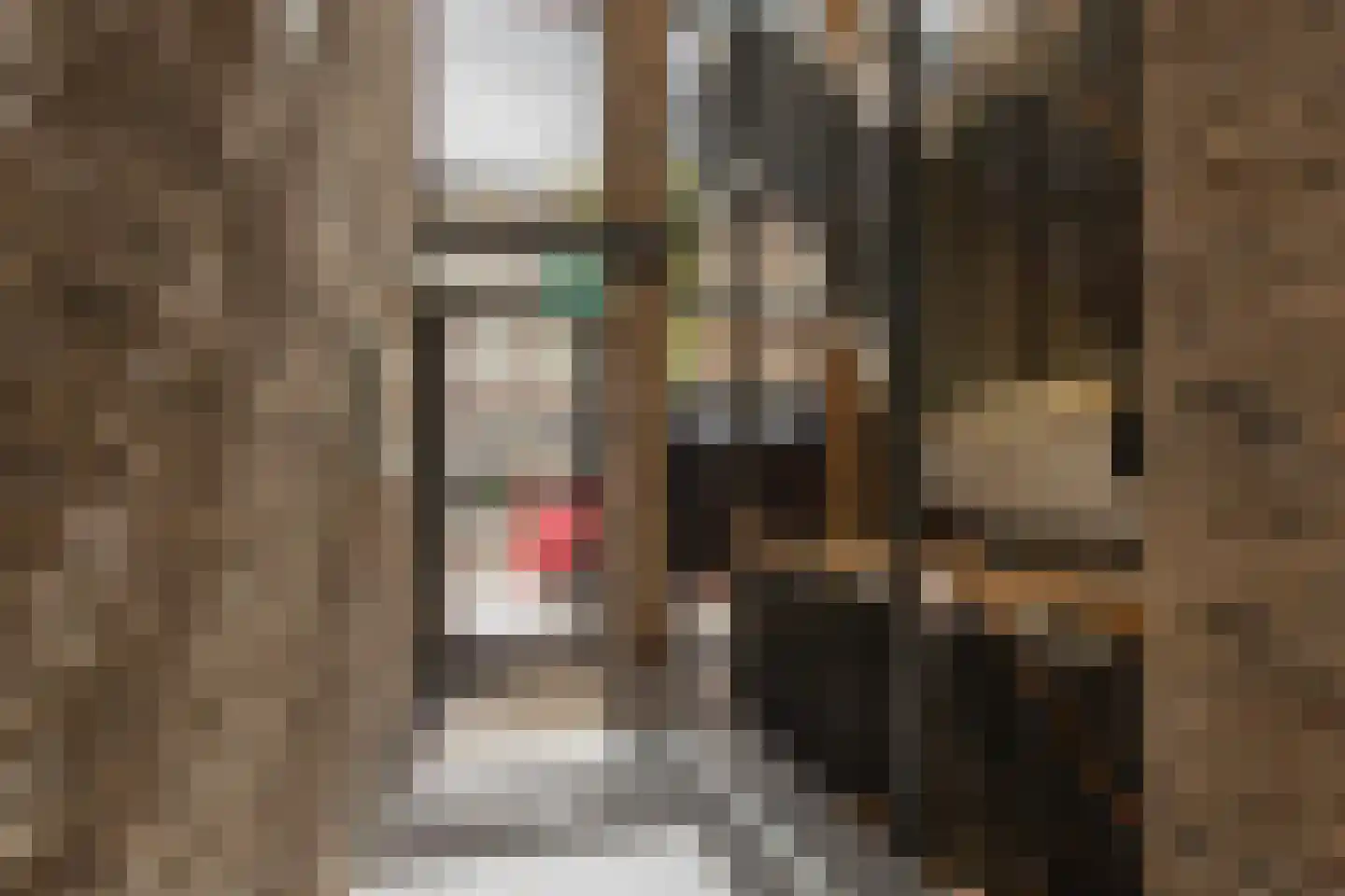 Marktstaete 63 Bladel thumbnail 4
