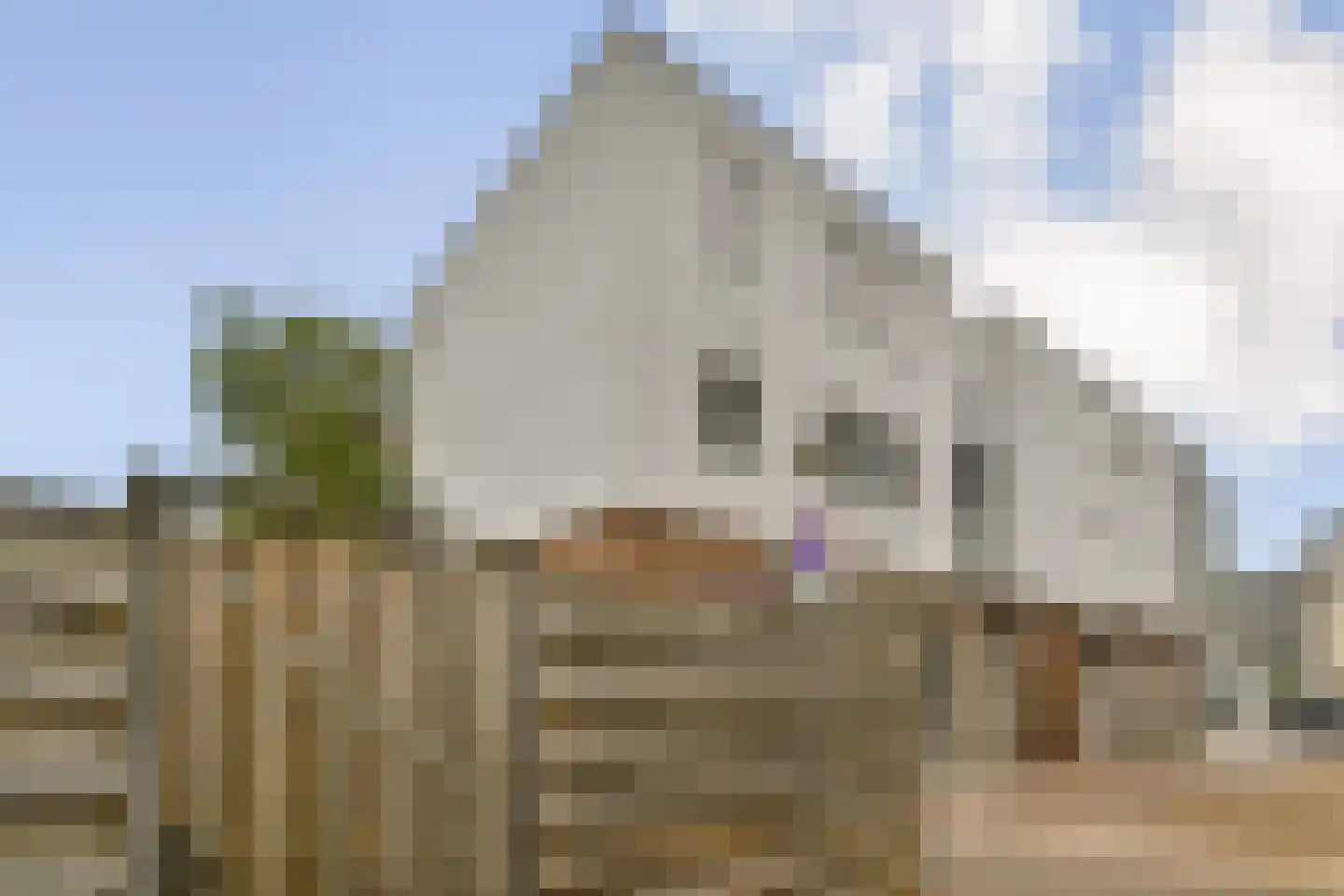 Marktsteeg 4 Zaandam thumbnail 18
