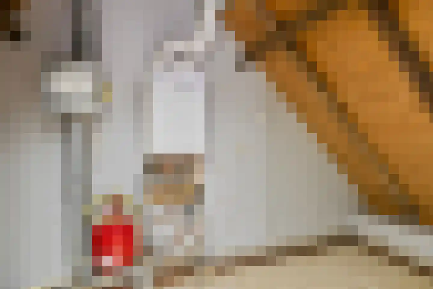 Marktsteeg 7 Kampen thumbnail 20