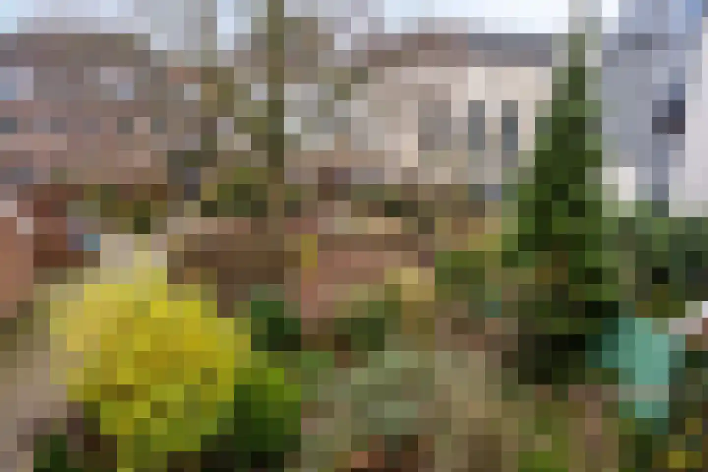 Marktsteeg 7 Kampen thumbnail 22