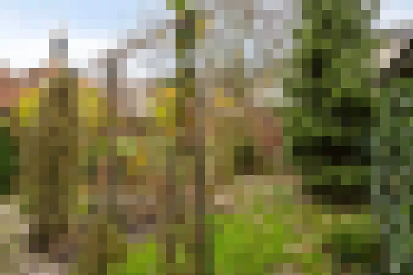 Marktsteeg 7 Kampen thumbnail 23