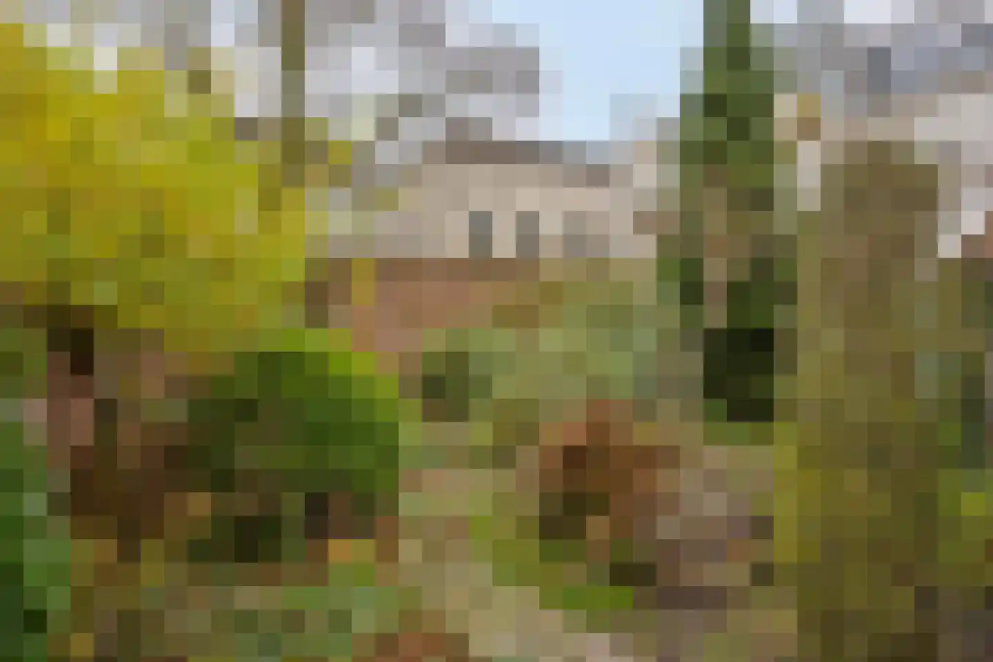 Marktsteeg 7 Kampen thumbnail 24