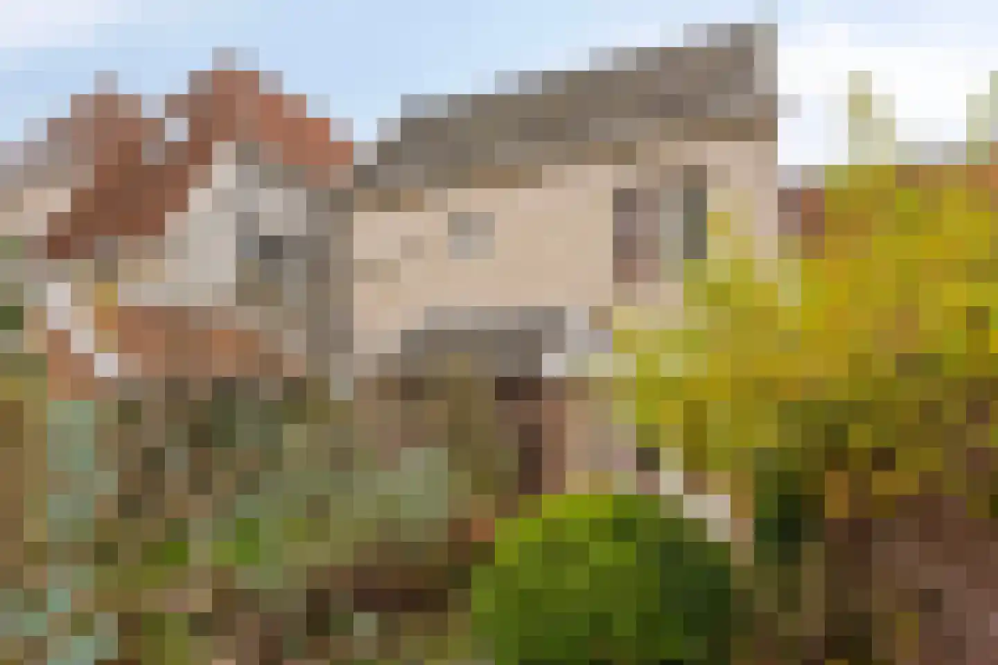 Marktsteeg 7 Kampen thumbnail 25