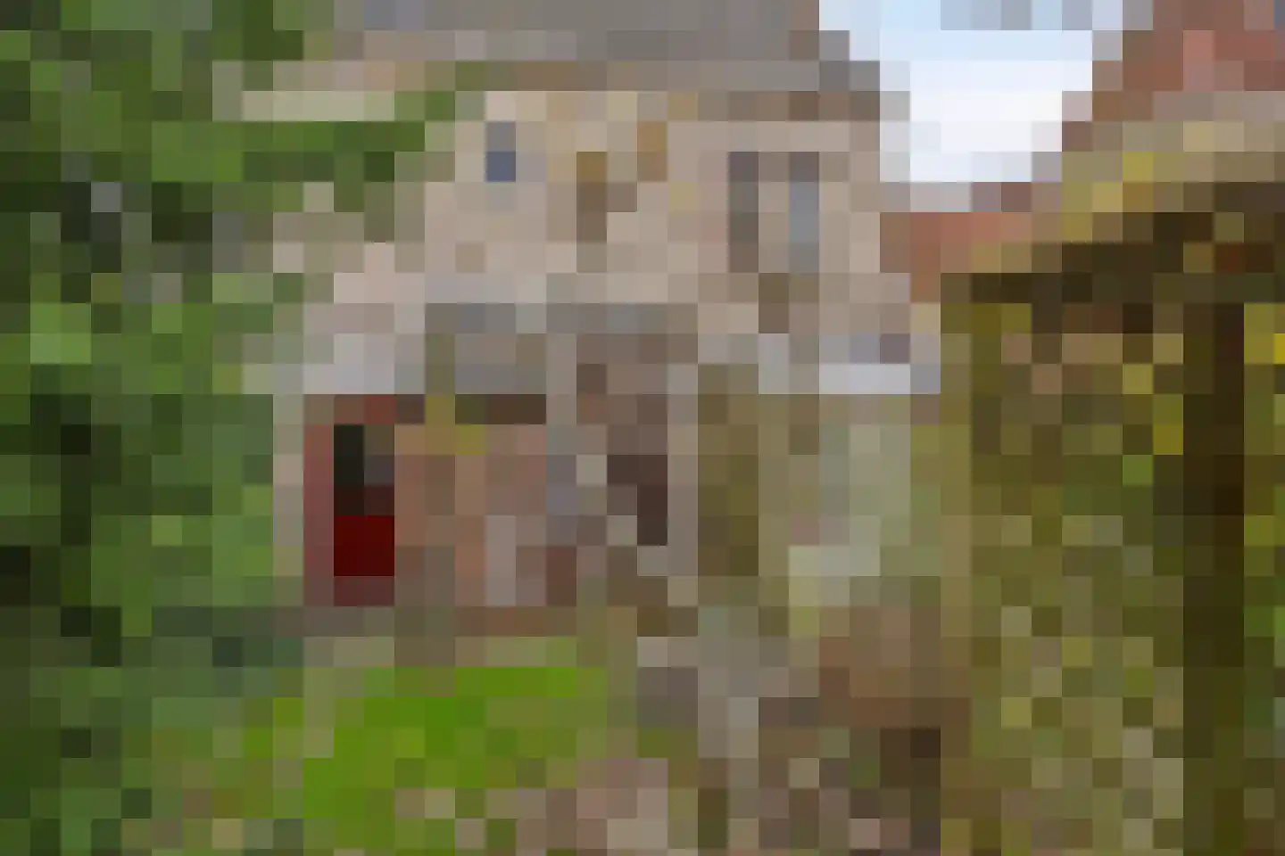 Marktsteeg 7 Kampen thumbnail 26