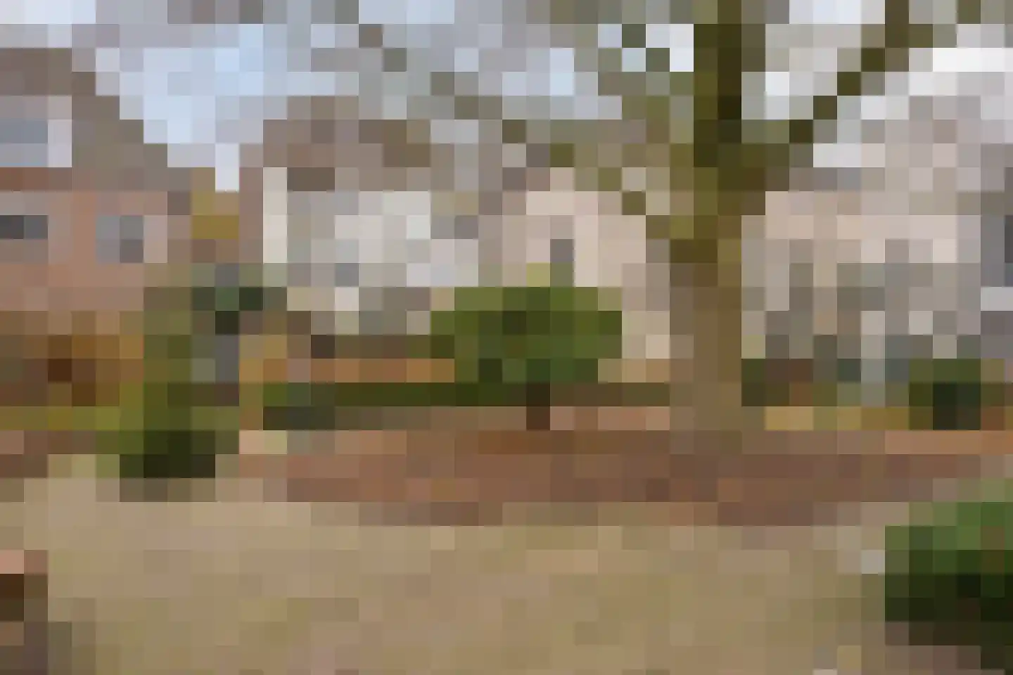 Marktsteeg 7 Kampen thumbnail 32
