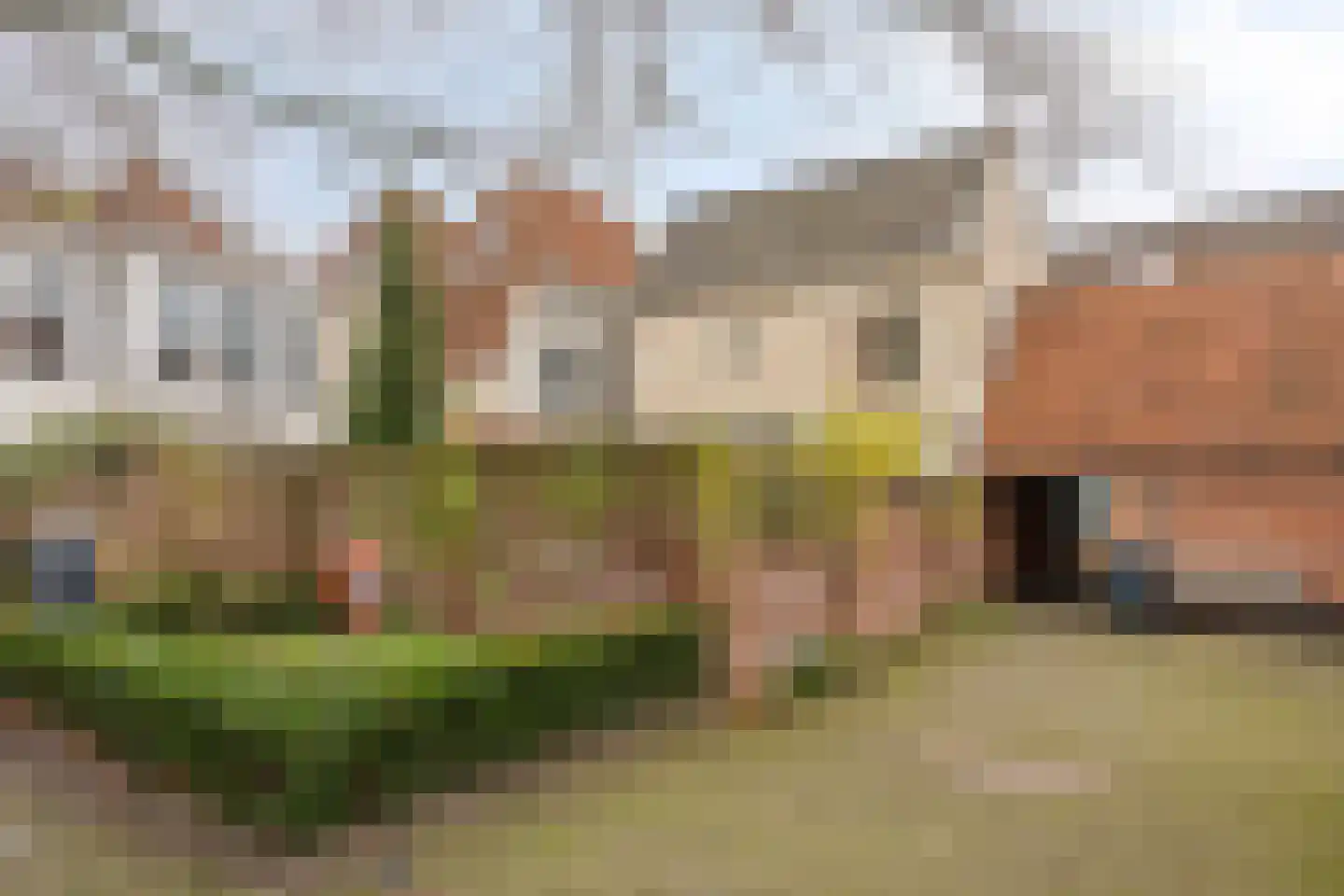 Marktsteeg 7 Kampen thumbnail 33