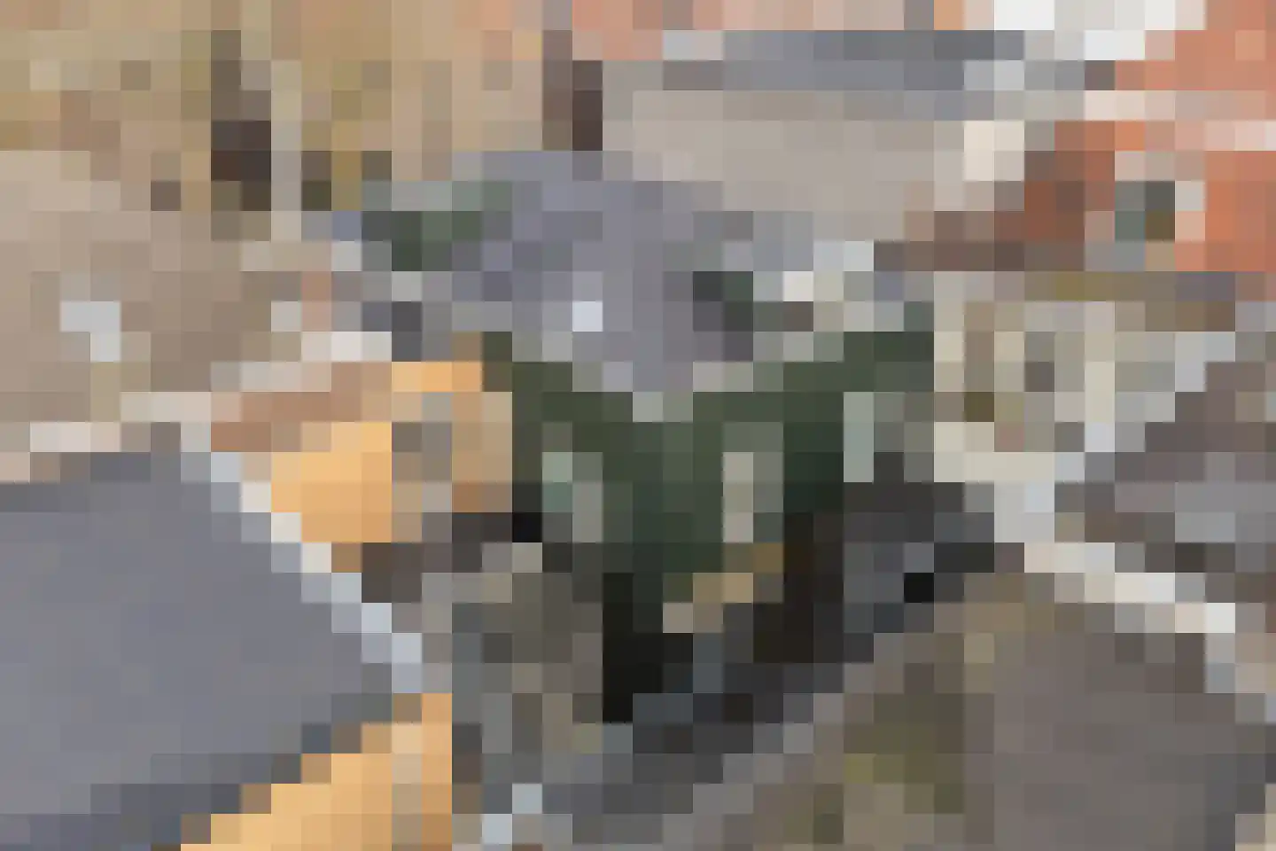 Marktstraat 1 A Wormerveer thumbnail 10