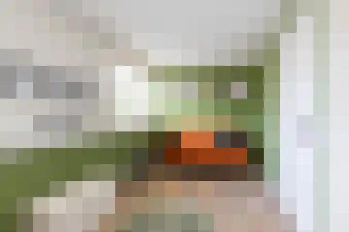 Marktstraat 1 Marum thumbnail 44