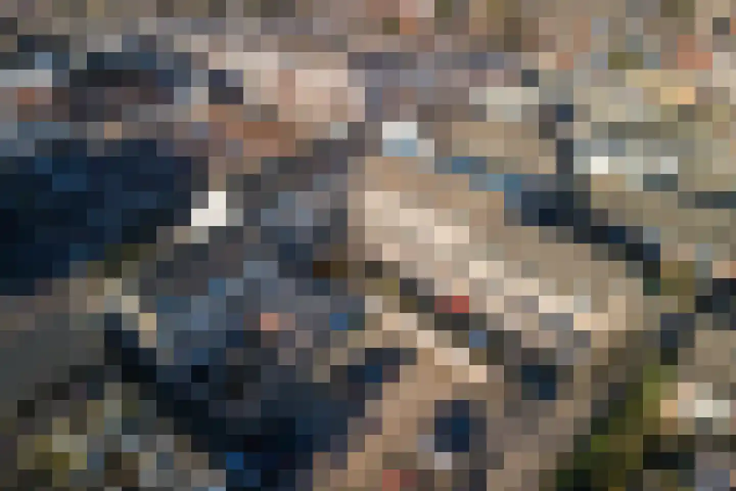 Marktstraat 1 P Bladel thumbnail 30