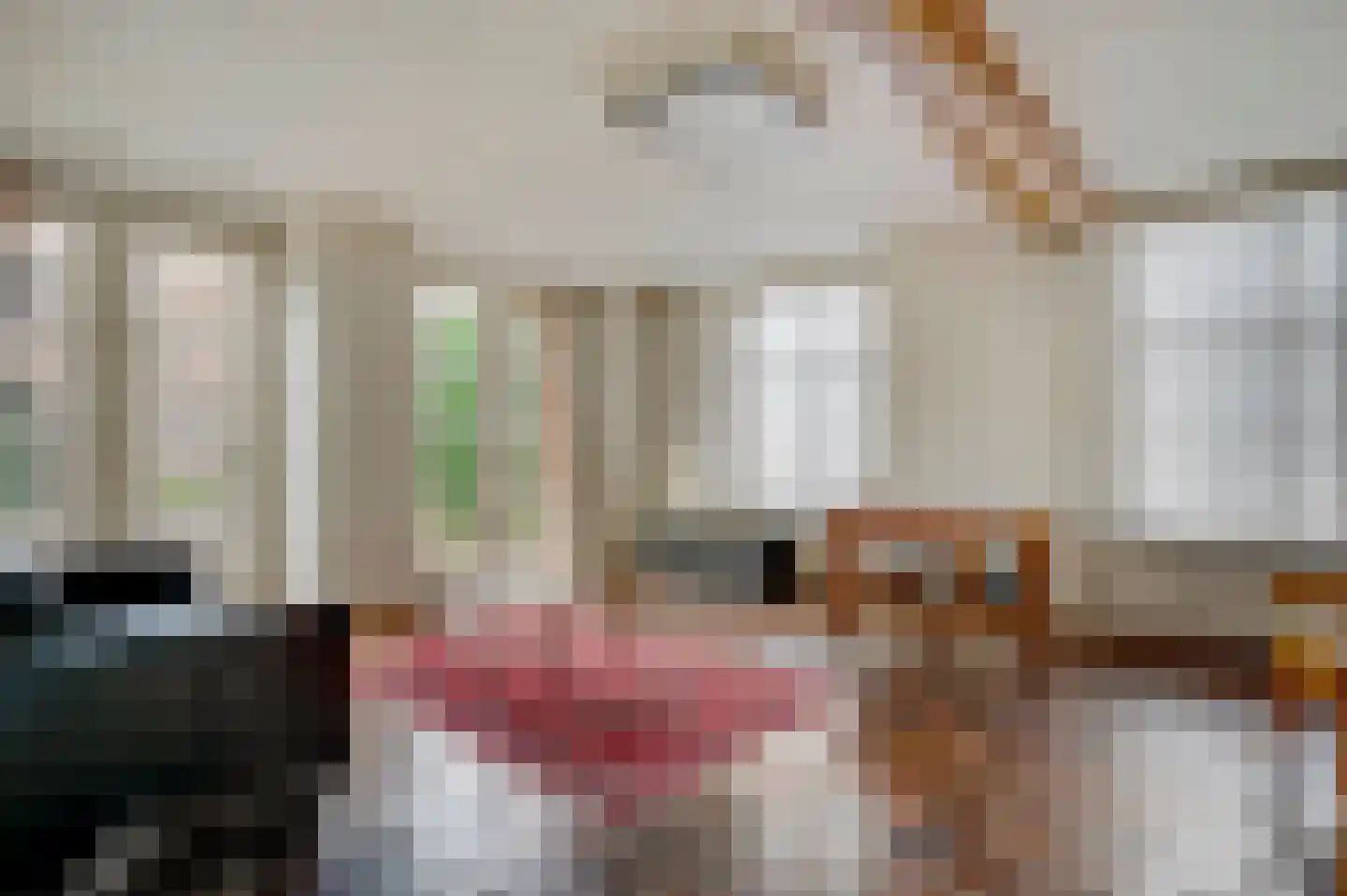 Marktstraat 1 Wessem thumbnail 28